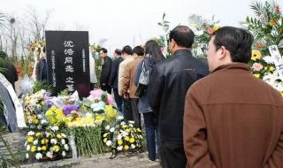 小岗村是平原还是山区 小岗村电视剧